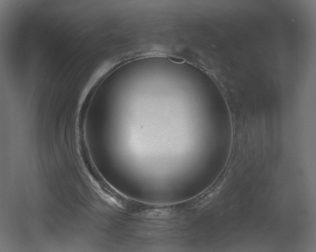 X0000053160102200507111518