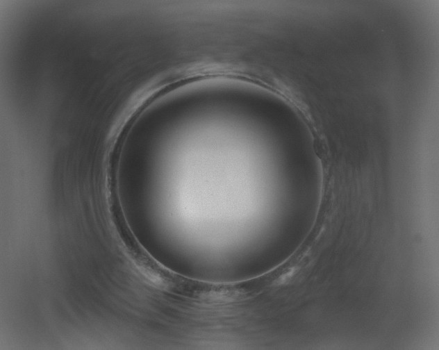 X0000053160103200507111518