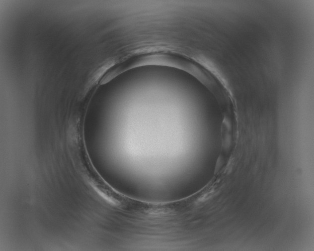 X0000053160105200507111518