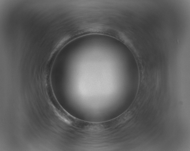X0000053160106200507111518