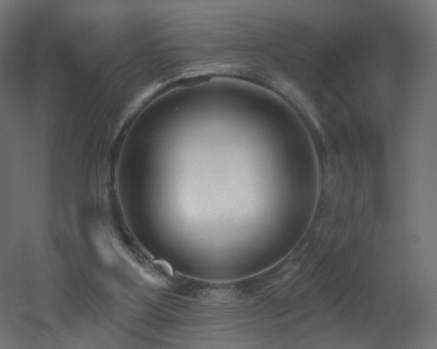 X0000053160107200507111518
