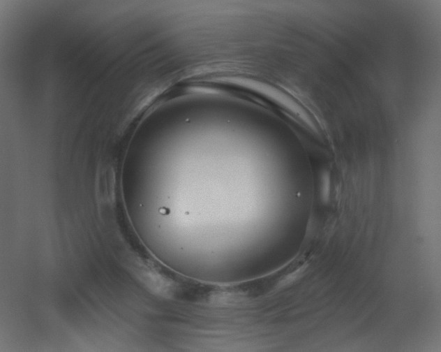 X0000053160109200507111518