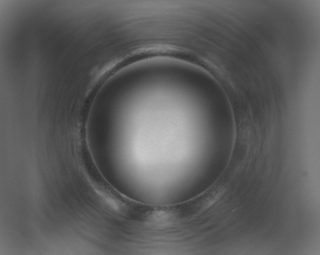 X0000053160111200507111518