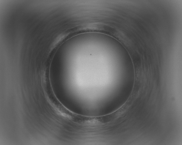 X0000053160112200507111518