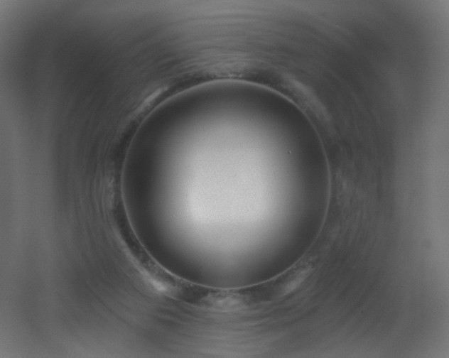 X0000053160113200507111518