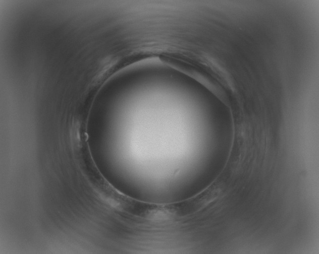 X0000053160115200507111518