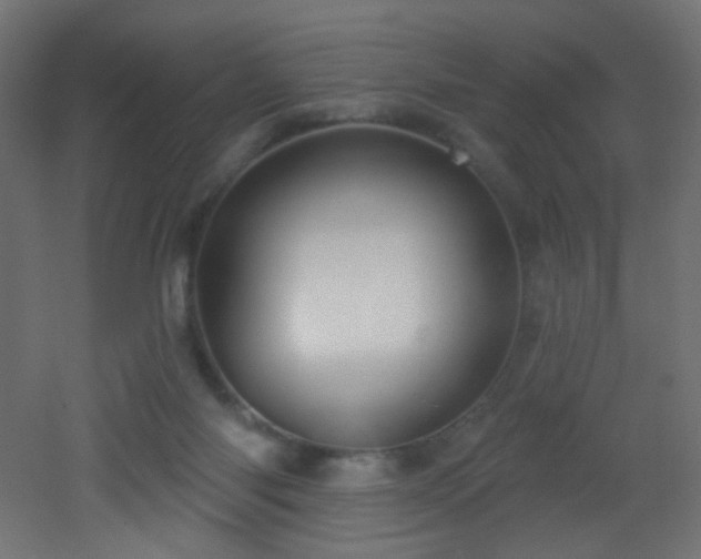 X0000053160118200507111517
