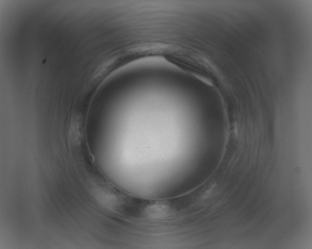 X0000053160119200507111517
