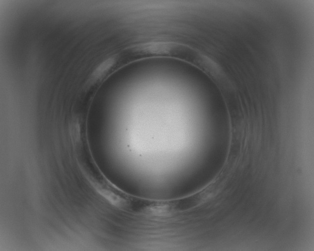 X0000053160120200507111517