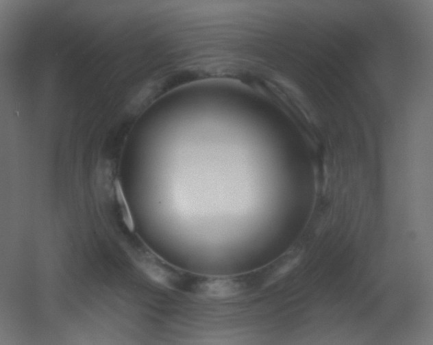X0000053160121200507111517