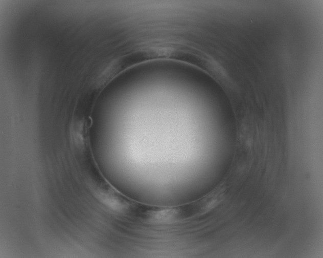 X0000053160122200507111517