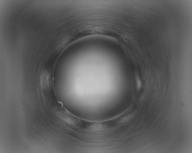 X0000053160123200507111517