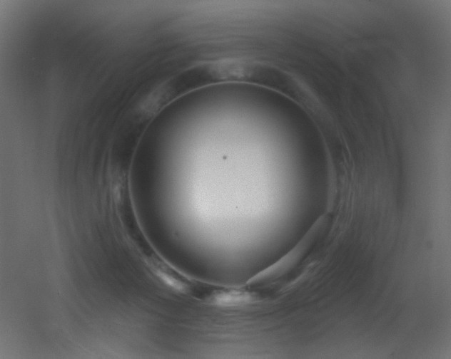 X0000053160125200507111517
