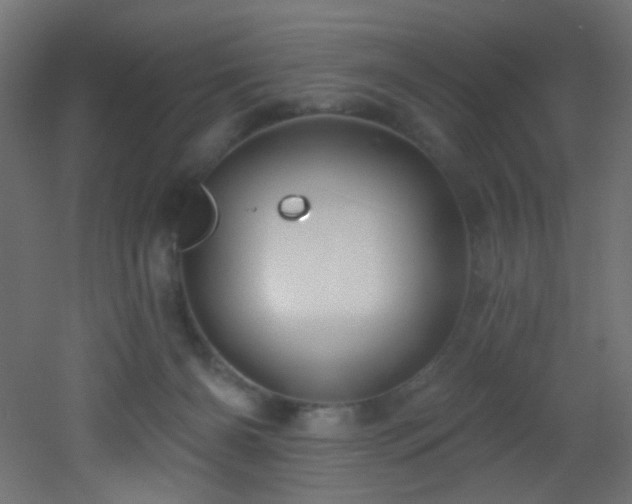 X0000053160126200507111517