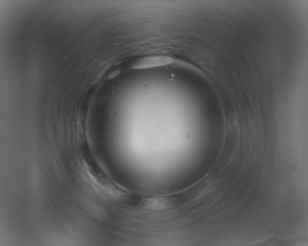 X0000053160127200507111517