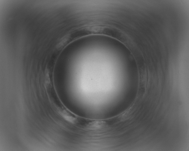 X0000053160128200507111517