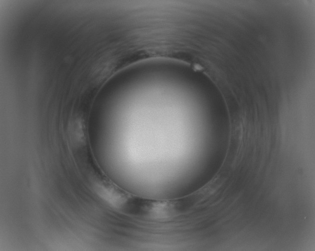 X0000053160130200507111517