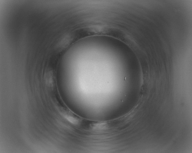 X0000053160132200507111517