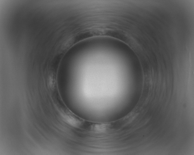 X0000053160134200507111517