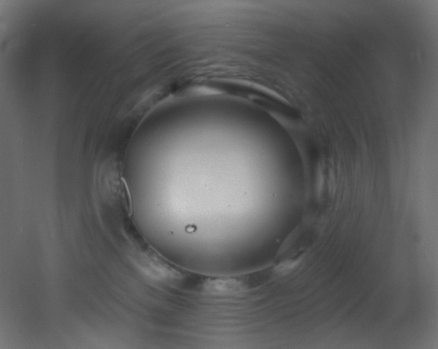 X0000053160137200507111517