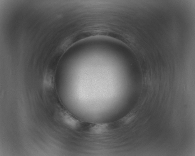 X0000053160138200507111517