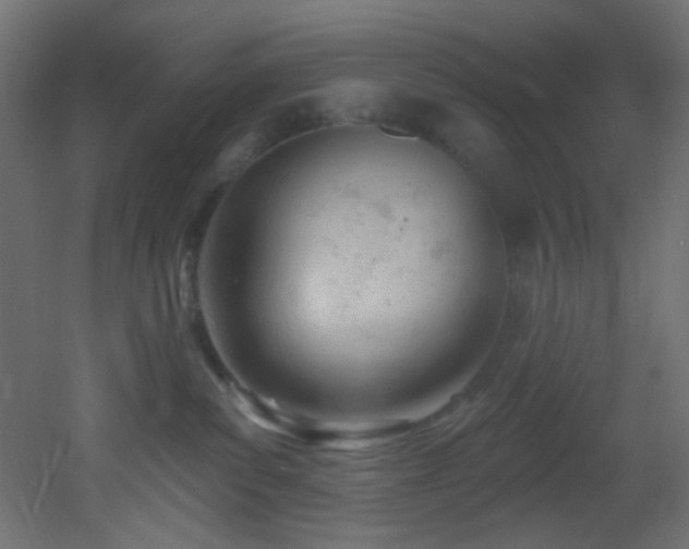 X0000053160139200507111517