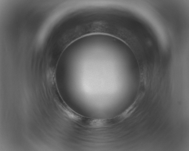 X0000053160142200507111517