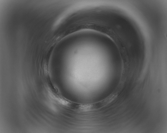 X0000053160143200507111517