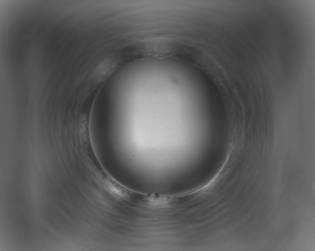 X0000053160144200507111517