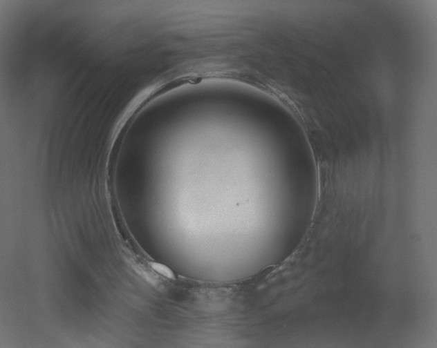 X0000053160147200507111516