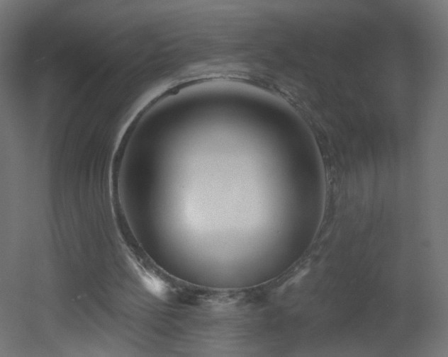 X0000053160148200507111516