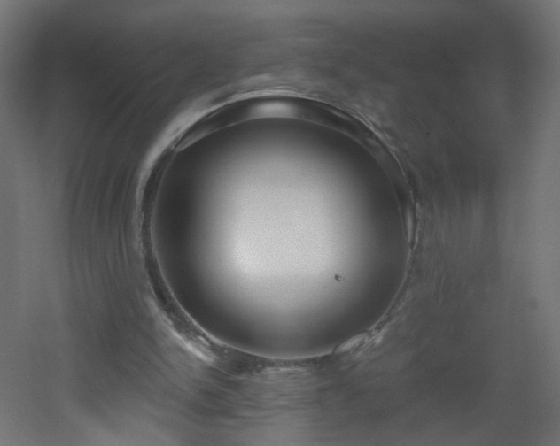 X0000053160150200507111516