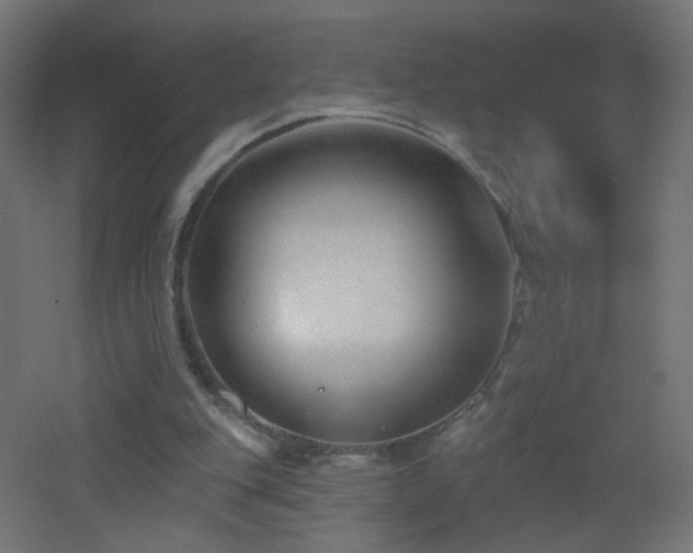 X0000053160151200507111516
