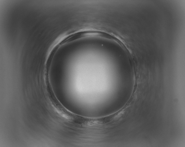 X0000053160152200507111516