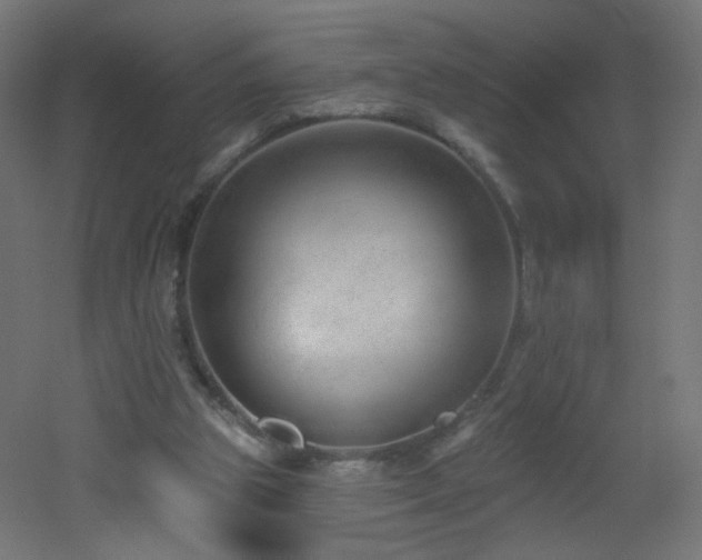X0000053160153200507111516