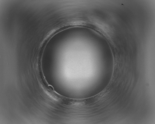 X0000053160155200507111516