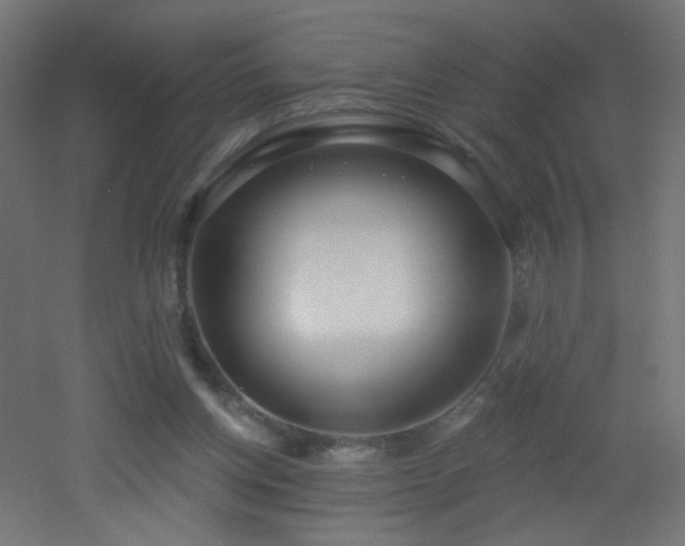 X0000053160158200507111516
