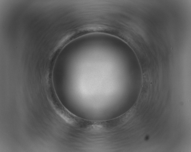 X0000053160159200507111516