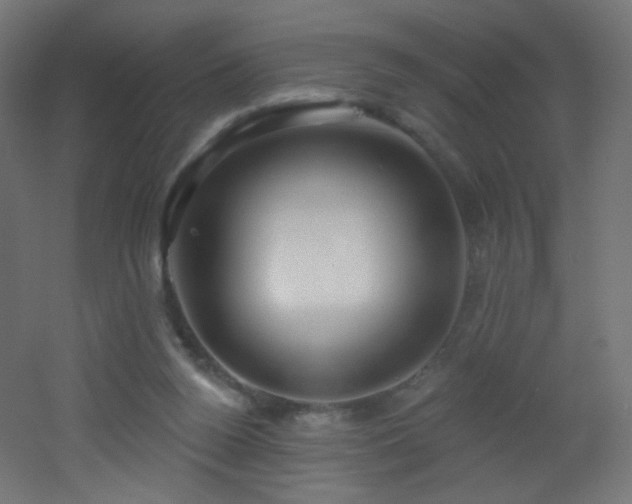 X0000053160160200507111516