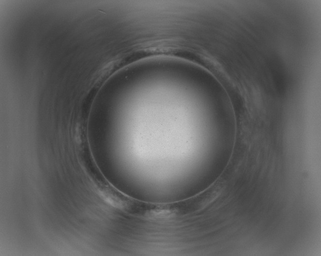 X0000053160161200507111516