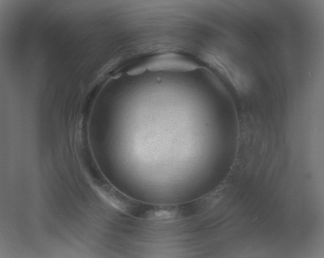 X0000053160163200507111517