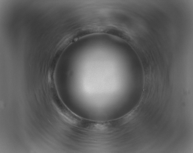 X0000053160166200507111517