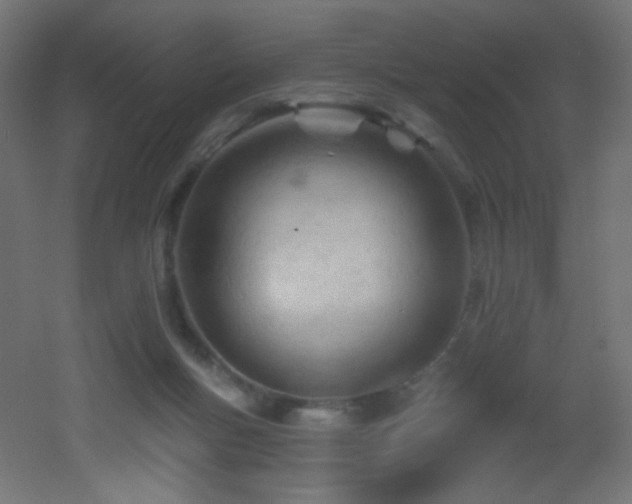 X0000053160167200507111517