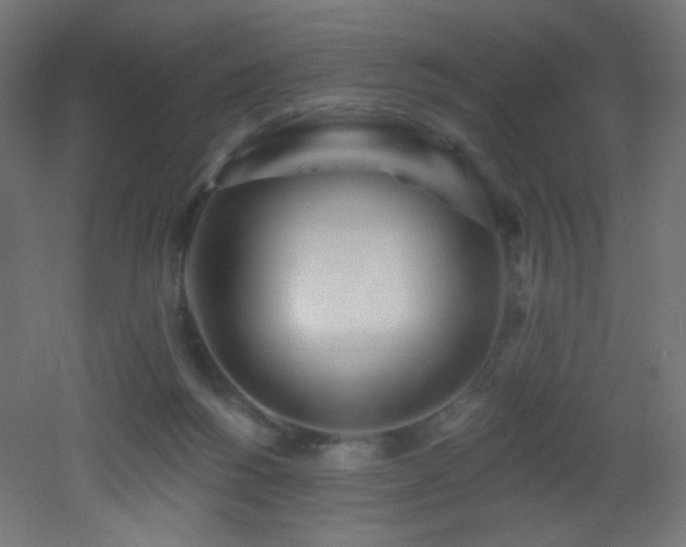 X0000053160168200507111517