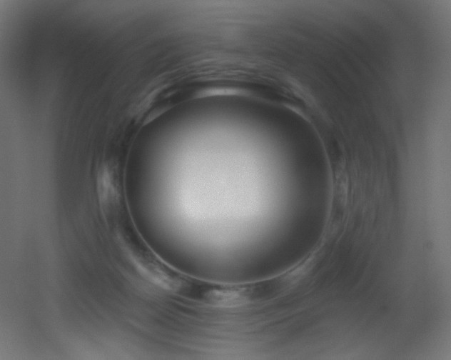 X0000053160170200507111517