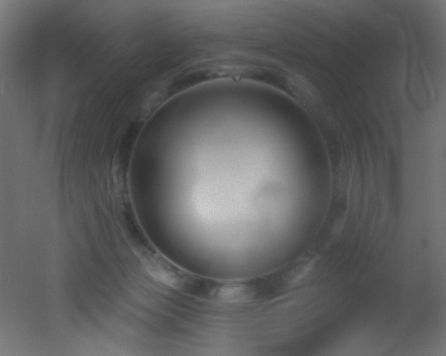 X0000053160173200507111517