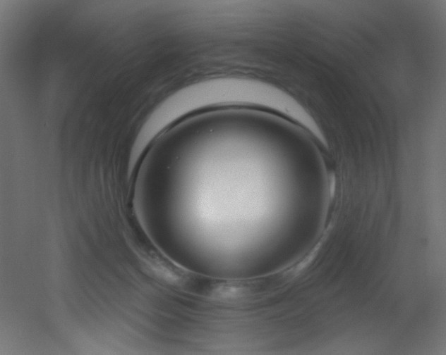X0000053160174200507111517