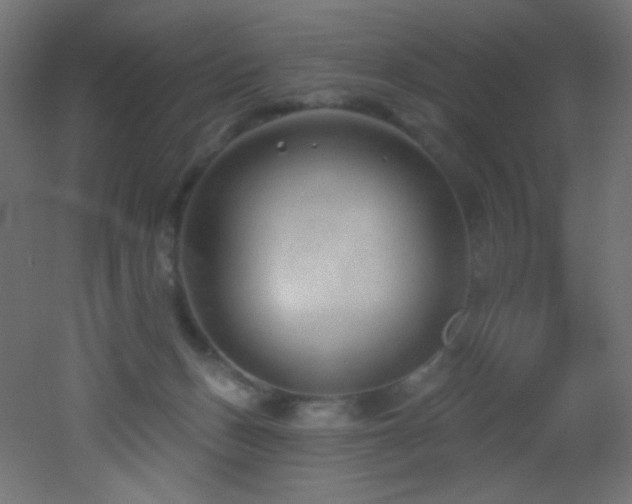 X0000053160175200507111517