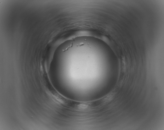 X0000053160176200507111517