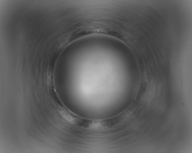 X0000053160177200507111517